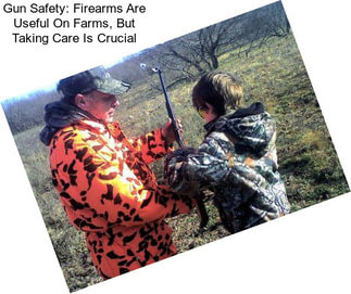 Gun Safety: Firearms Are Useful On Farms, But Taking Care Is Crucial