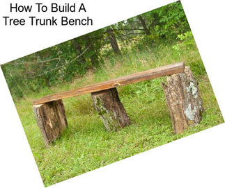 How To Build A Tree Trunk Bench