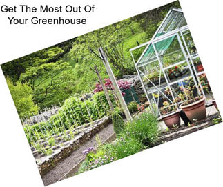 Get The Most Out Of Your Greenhouse