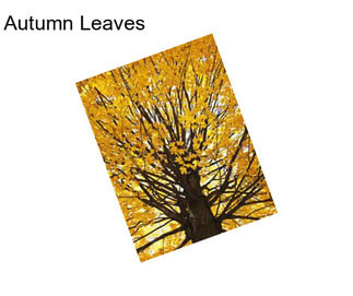 Autumn Leaves