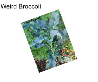 Weird Broccoli