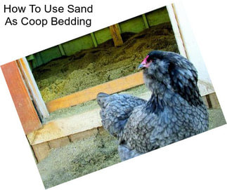 How To Use Sand As Coop Bedding