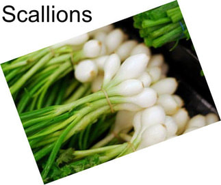 Scallions