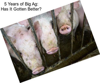 5 Years of Big Ag: Has It Gotten Better?