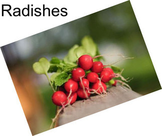 Radishes