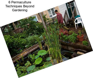 6 Permaculture Techniques Beyond Gardening