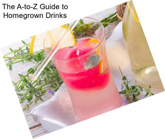 The A-to-Z Guide to Homegrown Drinks