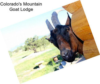 Colorado\'s Mountain Goat Lodge