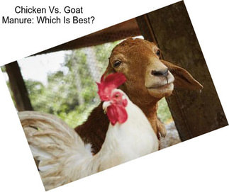 Chicken Vs. Goat Manure: Which Is Best?