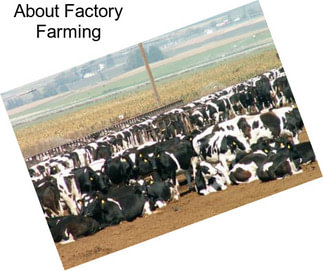 About Factory Farming