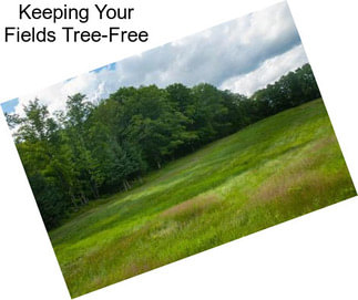 Keeping Your Fields Tree-Free