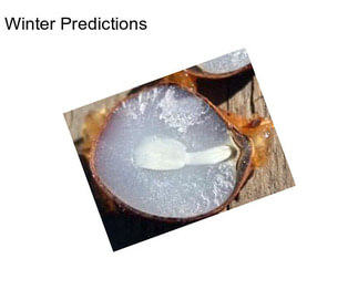Winter Predictions