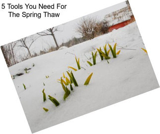 5 Tools You Need For The Spring Thaw