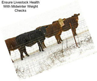 Ensure Livestock Health With Midwinter Weight Checks