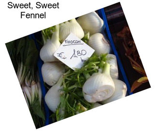 Sweet, Sweet Fennel