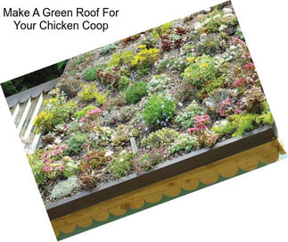 Make A Green Roof For Your Chicken Coop