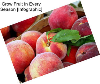 Grow Fruit In Every Season [Infographic]