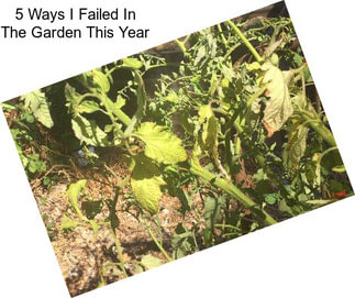 5 Ways I Failed In The Garden This Year