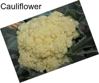 Cauliflower