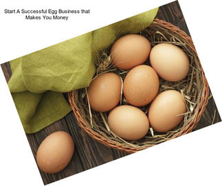 Start A Successful Egg Business that Makes You Money