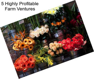 5 Highly Profitable Farm Ventures