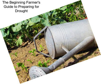 The Beginning Farmer\'s Guide to Preparing for Drought