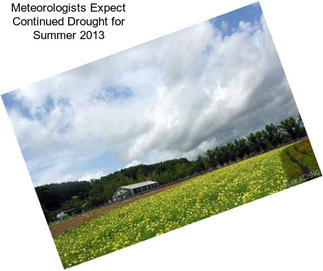 Meteorologists Expect Continued Drought for Summer 2013