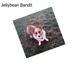 Jellybean Bandit