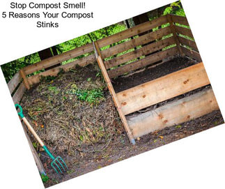 Stop Compost Smell! 5 Reasons Your Compost Stinks