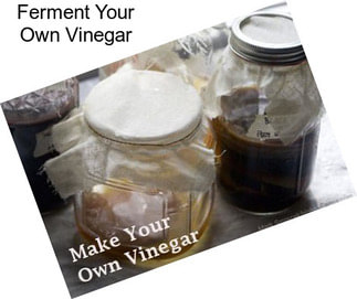 Ferment Your Own Vinegar
