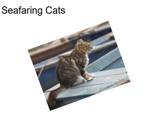 Seafaring Cats