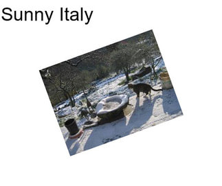 Sunny Italy