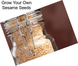 Grow Your Own Sesame Seeds