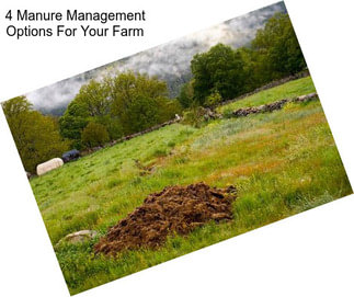 4 Manure Management Options For Your Farm