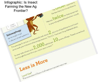 Infographic: Is Insect Farming the New Ag Frontier?