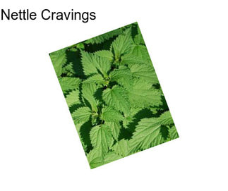 Nettle Cravings