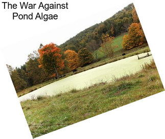 The War Against Pond Algae