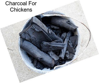 Charcoal For Chickens
