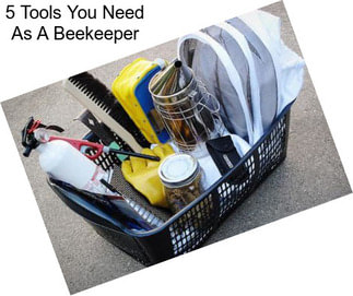 5 Tools You Need As A Beekeeper