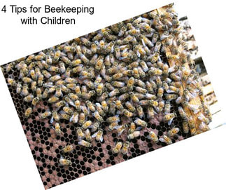 4 Tips for Beekeeping with Children