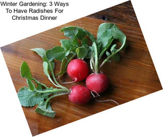 Winter Gardening: 3 Ways To Have Radishes For Christmas Dinner