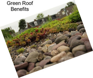 Green Roof Benefits