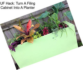 UF Hack: Turn A Filing Cabinet Into A Planter