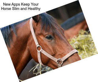 New Apps Keep Your Horse Slim and Healthy