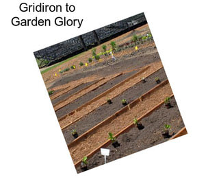 Gridiron to Garden Glory