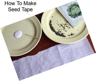 How To Make Seed Tape