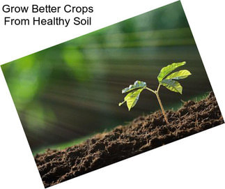 Grow Better Crops From Healthy Soil