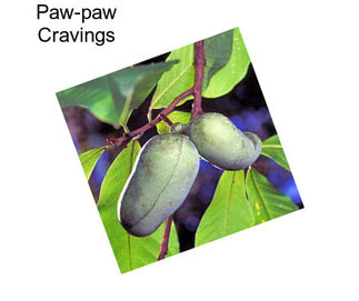 Paw-paw Cravings