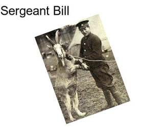 Sergeant Bill