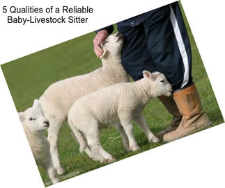 5 Qualities of a Reliable Baby-Livestock Sitter